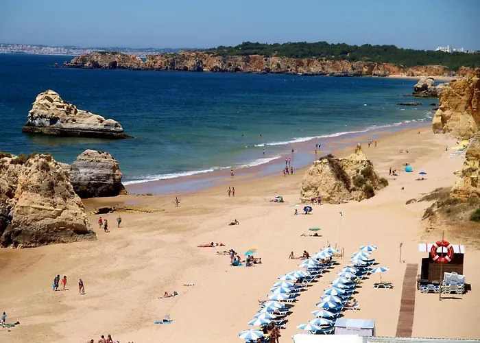 公寓 Primavera - Da Rocha